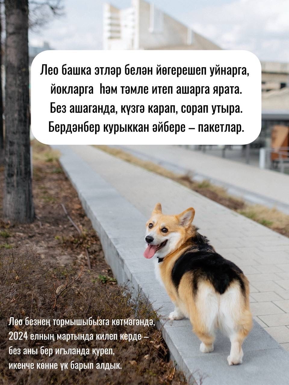 «Койрыклы сәхифә» кунаклары