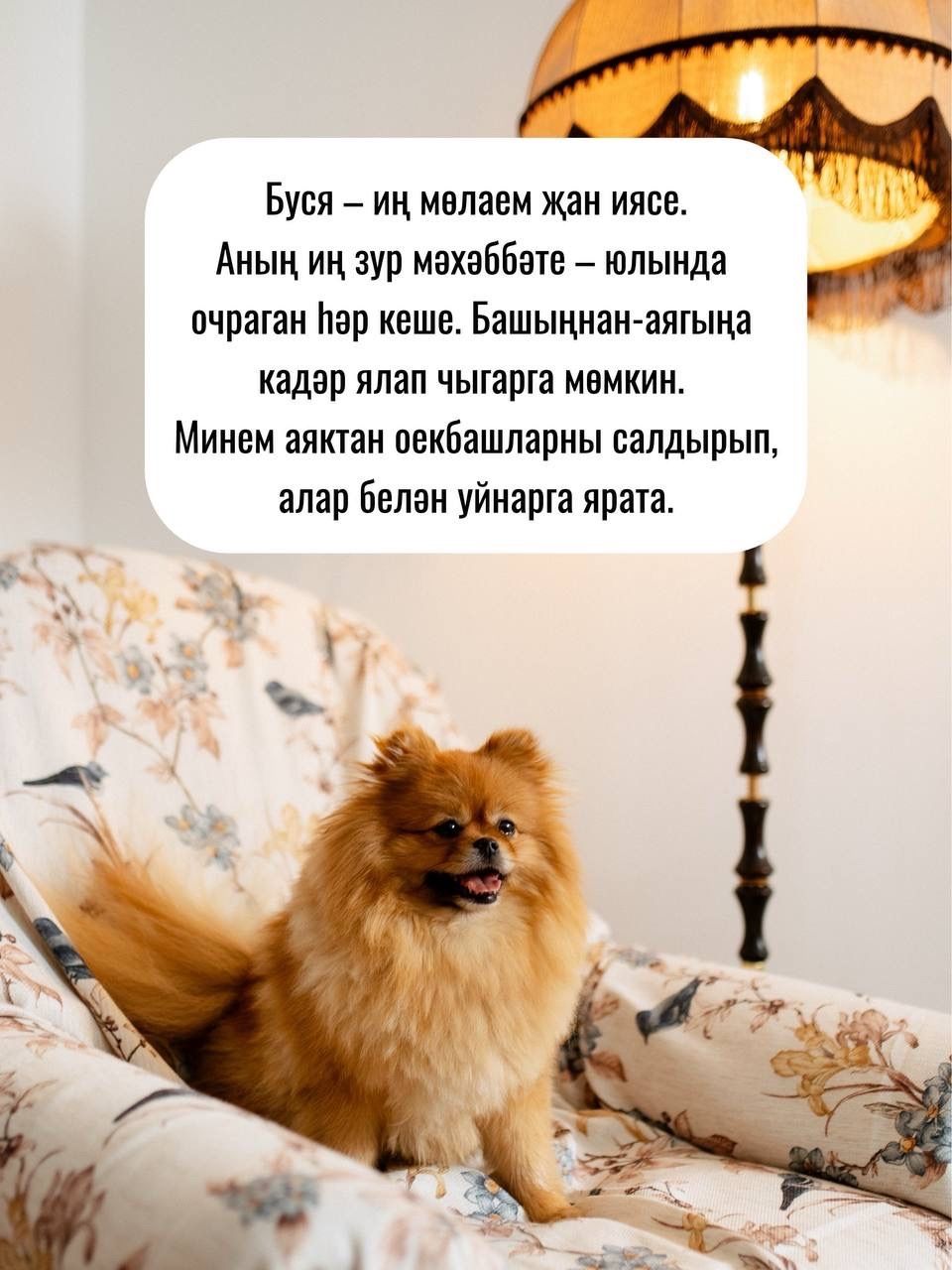 «Койрыклы сәхифә» кунаклары