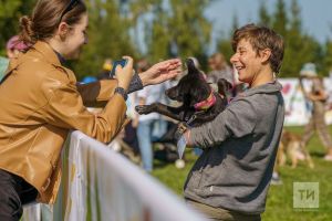 В Казани состоится Dog Fest