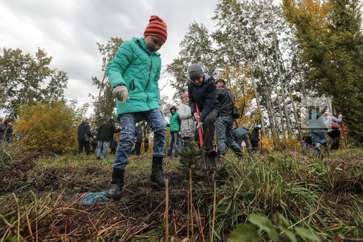 В Казани летом пройдет серия экоакций