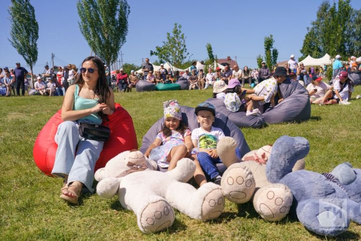 В Казани пройдет 11-часовой фестиваль «Большой семейный пикник»
