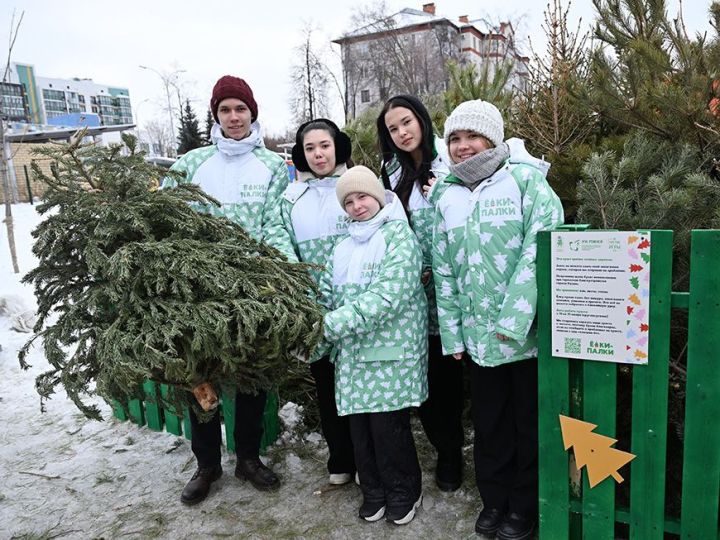 Казанцы сдали на переработку более 3000 хвойных деревьев в рамках акции «Елки-палки»